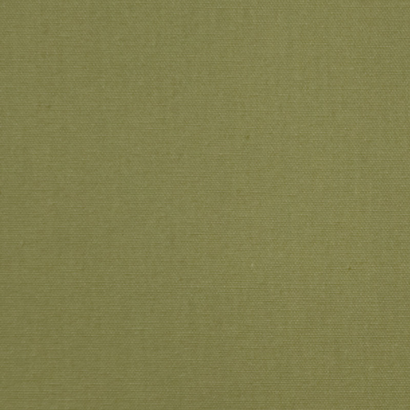 Cozumel Pear on Cotton Duck Fabric