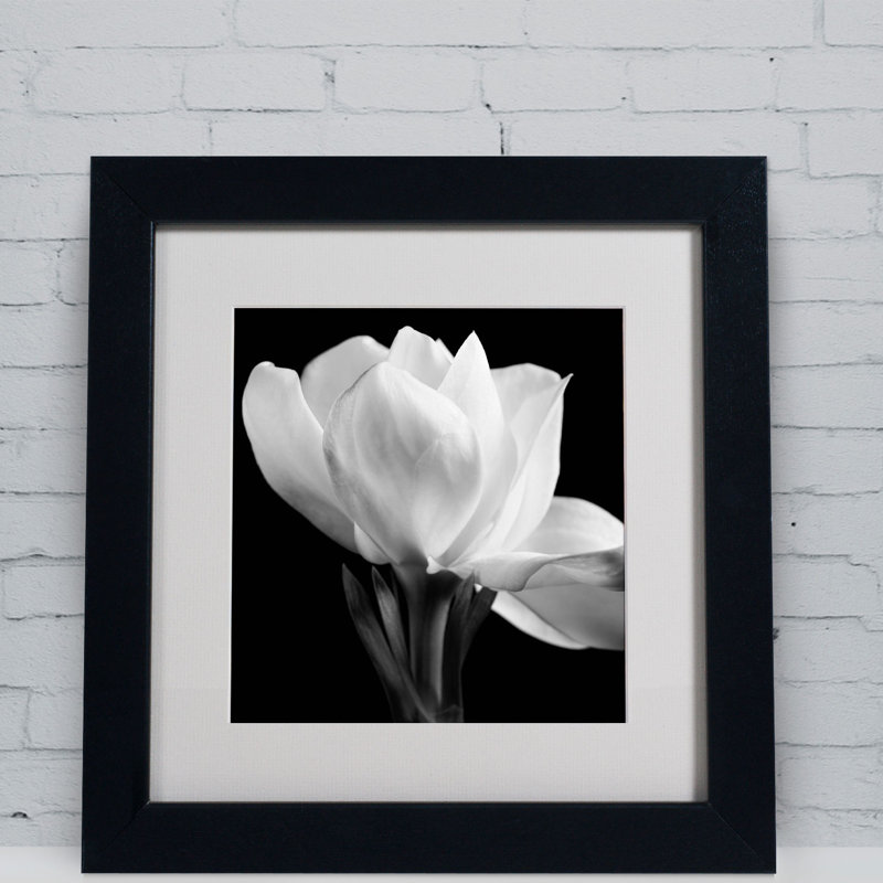 'Gardenia' Framed Photographic Print Size: 16" H x 16" W x 0.5" D