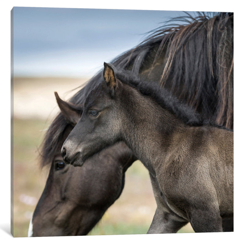 East Urban Home Purebred Icelandic Mare And Newborn Foal Ii By