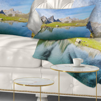 Everly Quinn Huang Glam Solid Down Filled Throw Pillow Wayfair