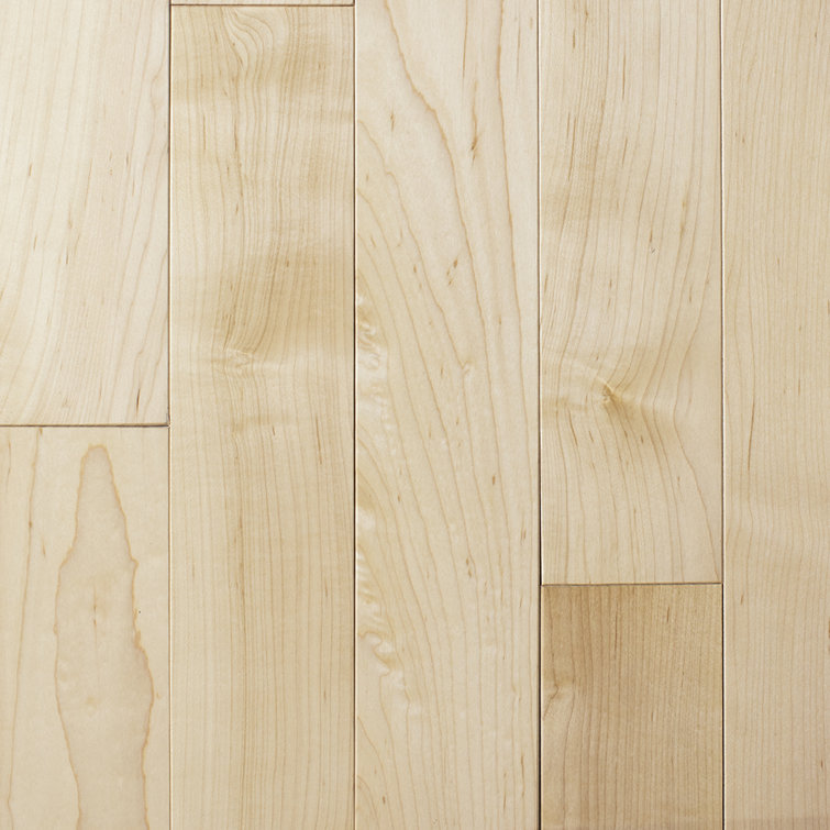 Greenbrier Hardwood Flooring Maple 3 4 Thick X 2 1 4 Wide X Varying Length Solid Hardwood Flooring Wayfair