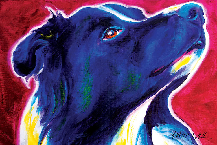 East Urban Home Bright Future The Border Collie Painting Print