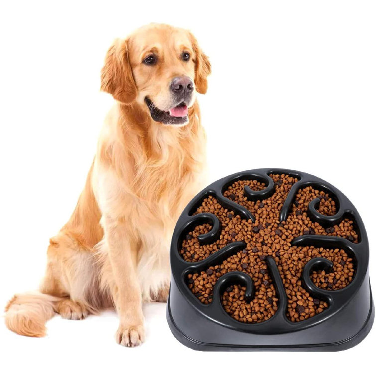 puzzle dog dish