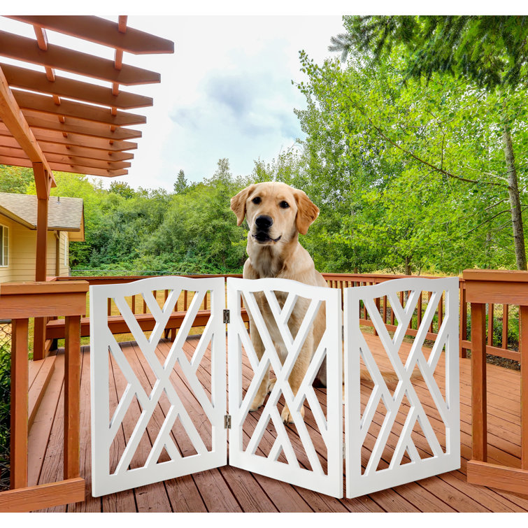 lattice dog fence