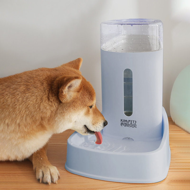dog food and water dispenser
