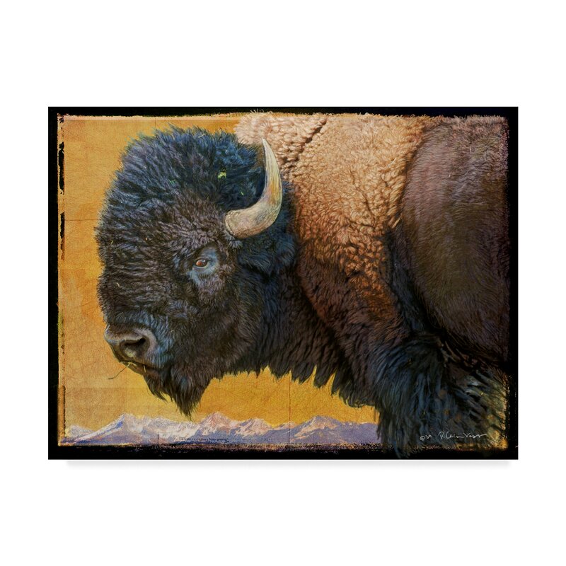 Millwood Pines 'Bison Portrait III' Graphic Art Print on Wrapped Canvas ...