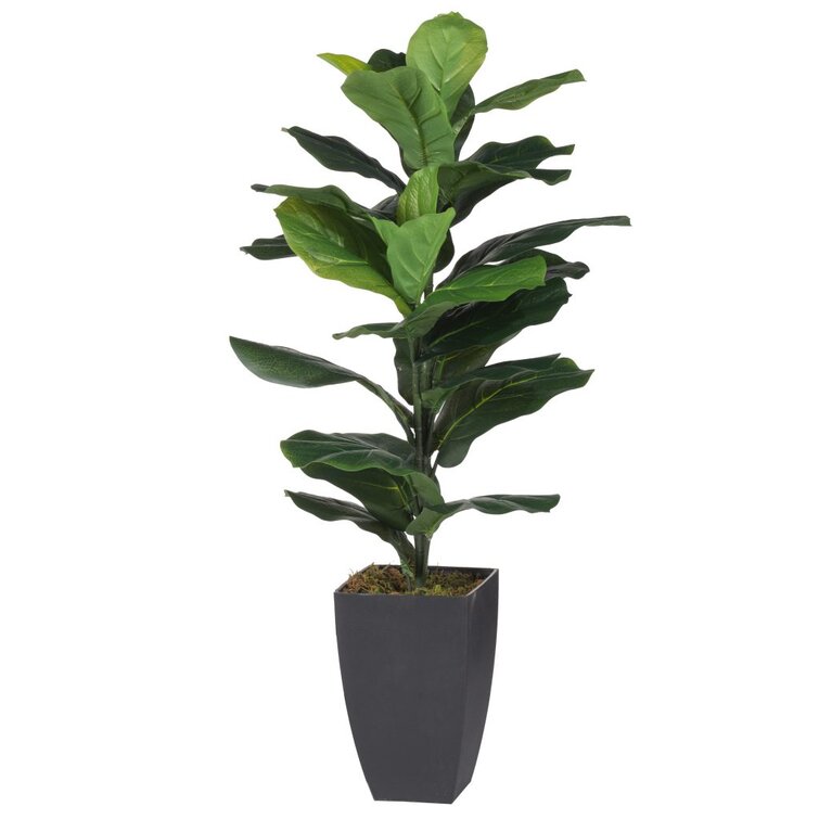 Orren Ellis 36'' Foliage Plant in Planter | Wayfair