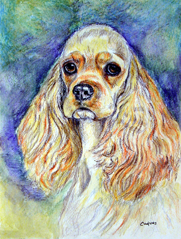tan spaniel