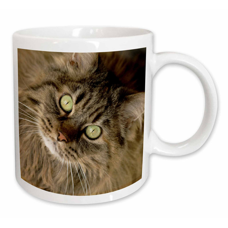 East Urban Home Maine Coon Cat Santa Fe New Mexico Coffee Mug