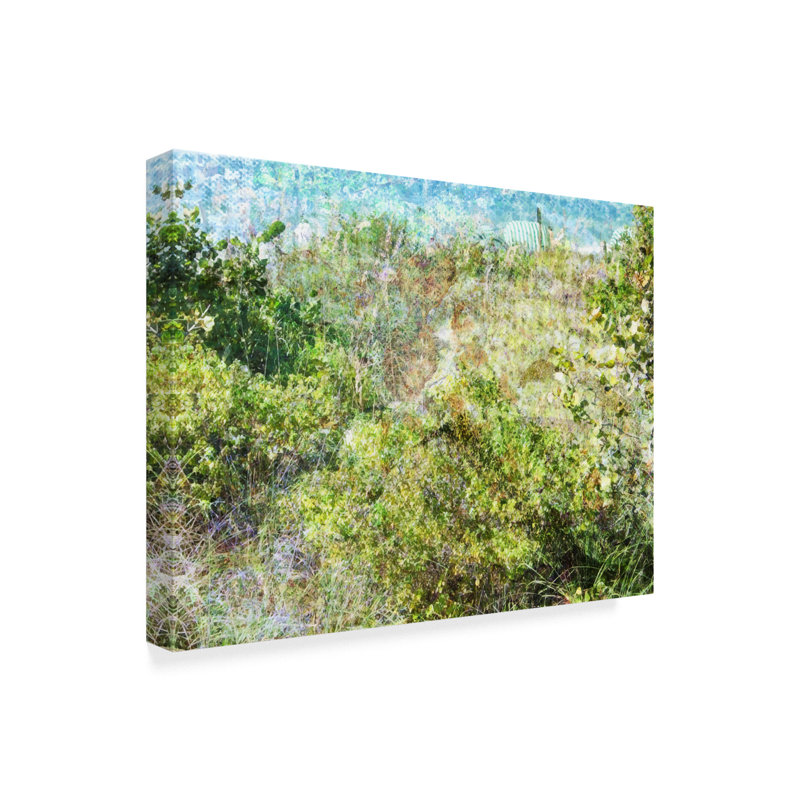Ebern Designs Beach Grass Landscape Acrylic Painting Print On Wrapped Canvas Wayfair