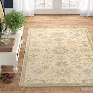 Cream And Sage Green Area Rug Birch Lane