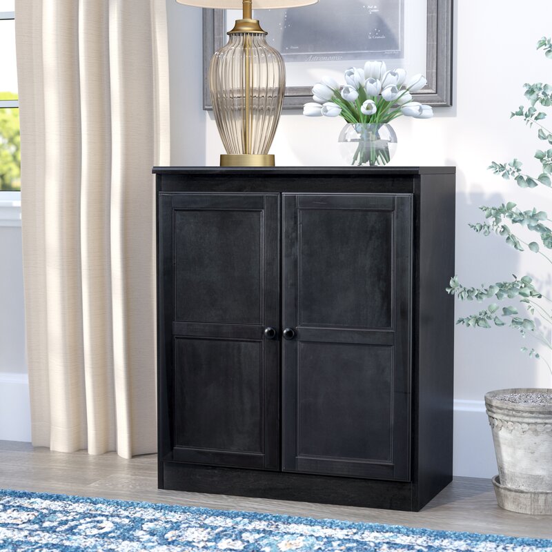 Darby Home Co Granderson 2 Door Storage Cabinet Reviews Wayfair