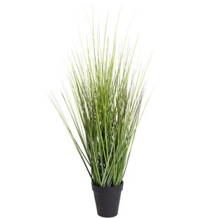 Gras bemehlt 42x36cm in weißer Keramikvase Kunstpflanzen Grasbusch Dekogras 