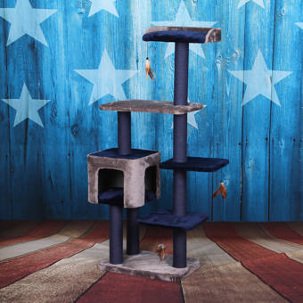 midnight molly cat scratcher