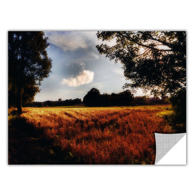 Farmville by Revolver Ocelot Photographic Print Wall decal ArtWall Size 12 H x 18 W