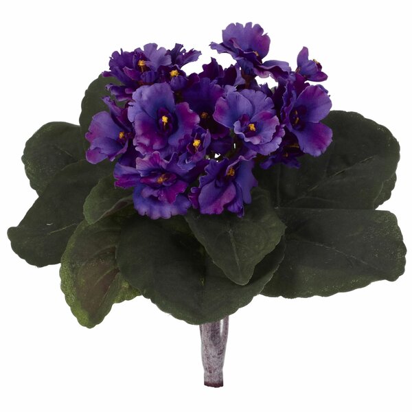 Details about   Portion cups mini flower pots Great for African violets free ship set of 50 