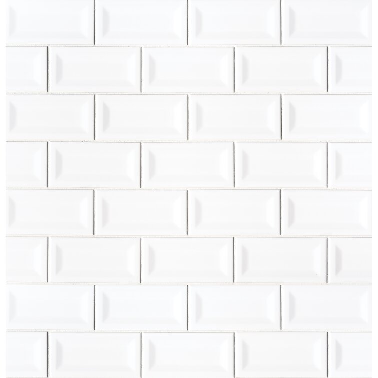 spiritueel Pastoor Verlammen MSI Domino 3" x 6" Ceramic Patterned Wall & Floor Tile & Reviews | Wayfair