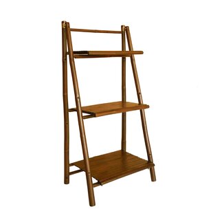 Lapta Ladder Bookcase By Bay Isle Home