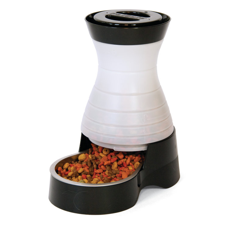 pet safe automatic feeder