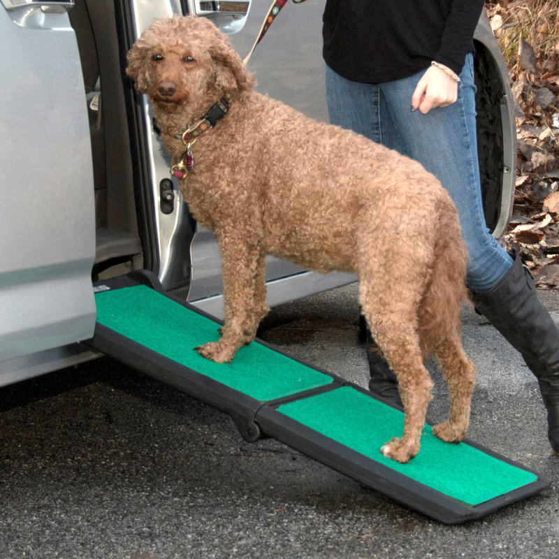 supertrax dog ramp