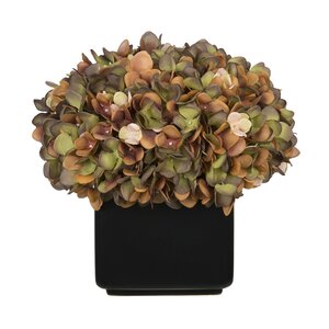 Hydrangea Arrangement in Large Black Cube Ceramic