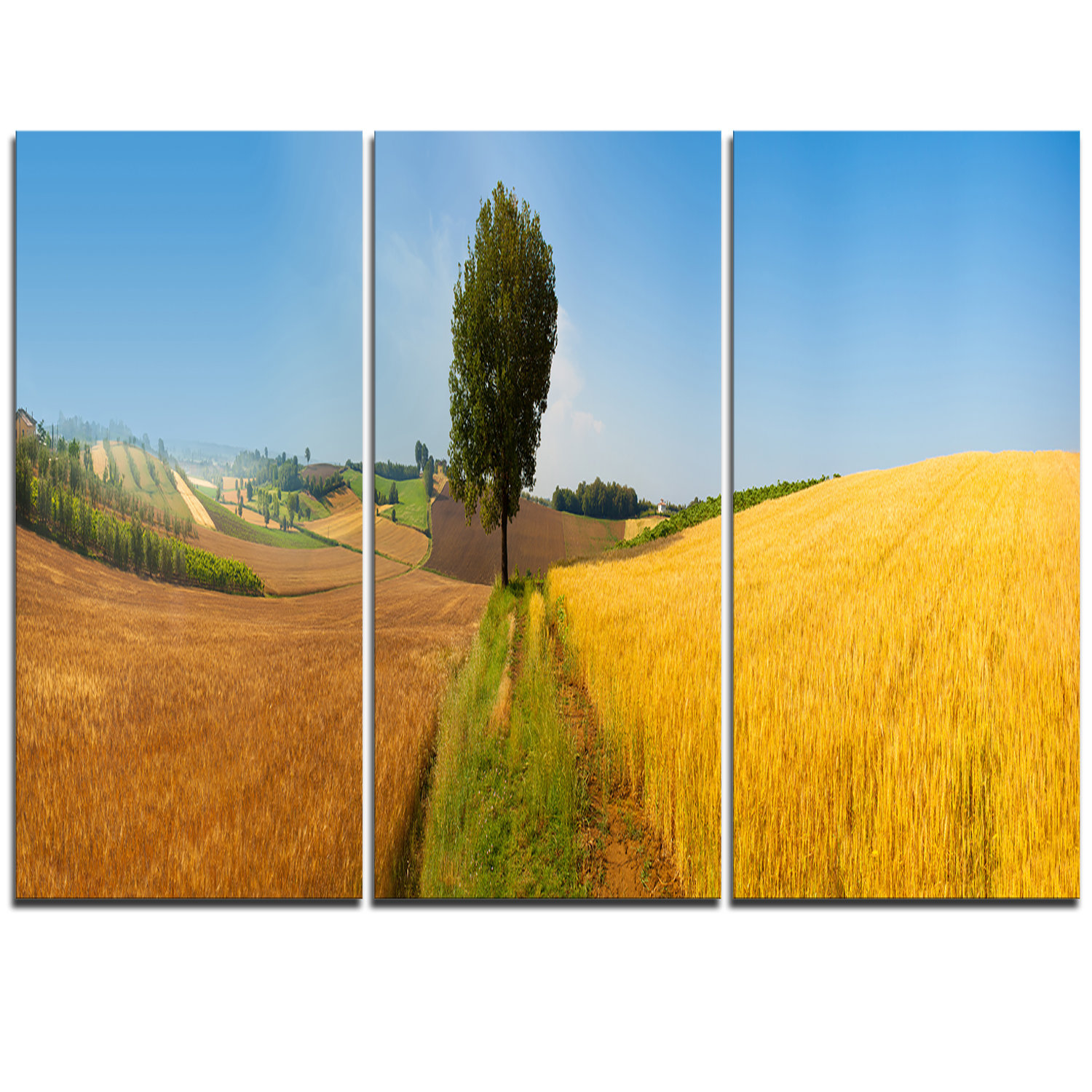 Designart Tuscany Wheat Field Hill Panorama 3 Piece Graphic Art On Wrapped Canvas Set Wayfair