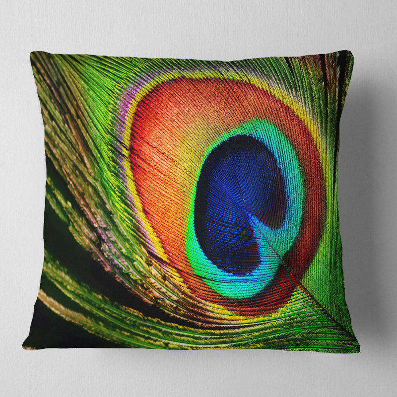 East Urban Home Photography Peacock Feather Pillow Wayfair