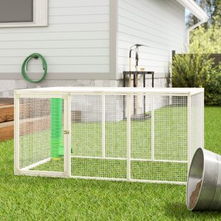 Rabbit Coop Wayfair