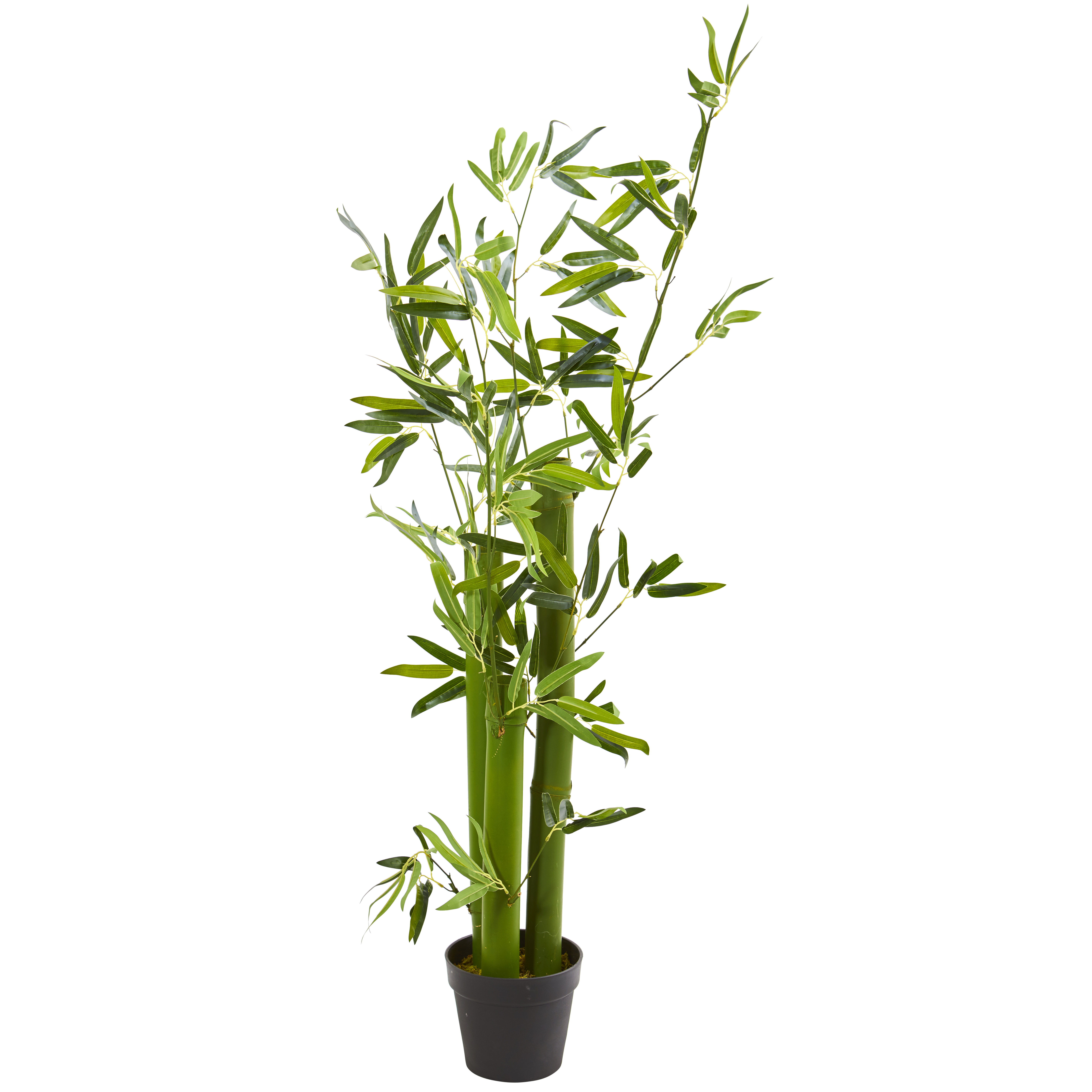 Primrue 60'' Faux Bamboo Tree in Pot Wayfair