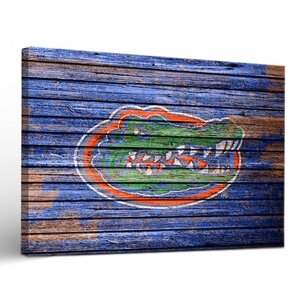 NCAA Weathered Framed Graphic Art on Wrapped Canvas