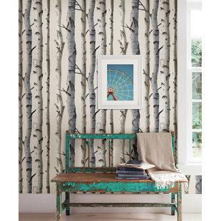 birch tree wallpaper you ll love in