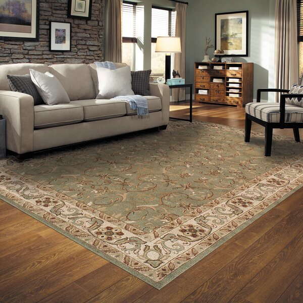 Astoria Grand Destin Green Area Rug & Reviews | Wayfair