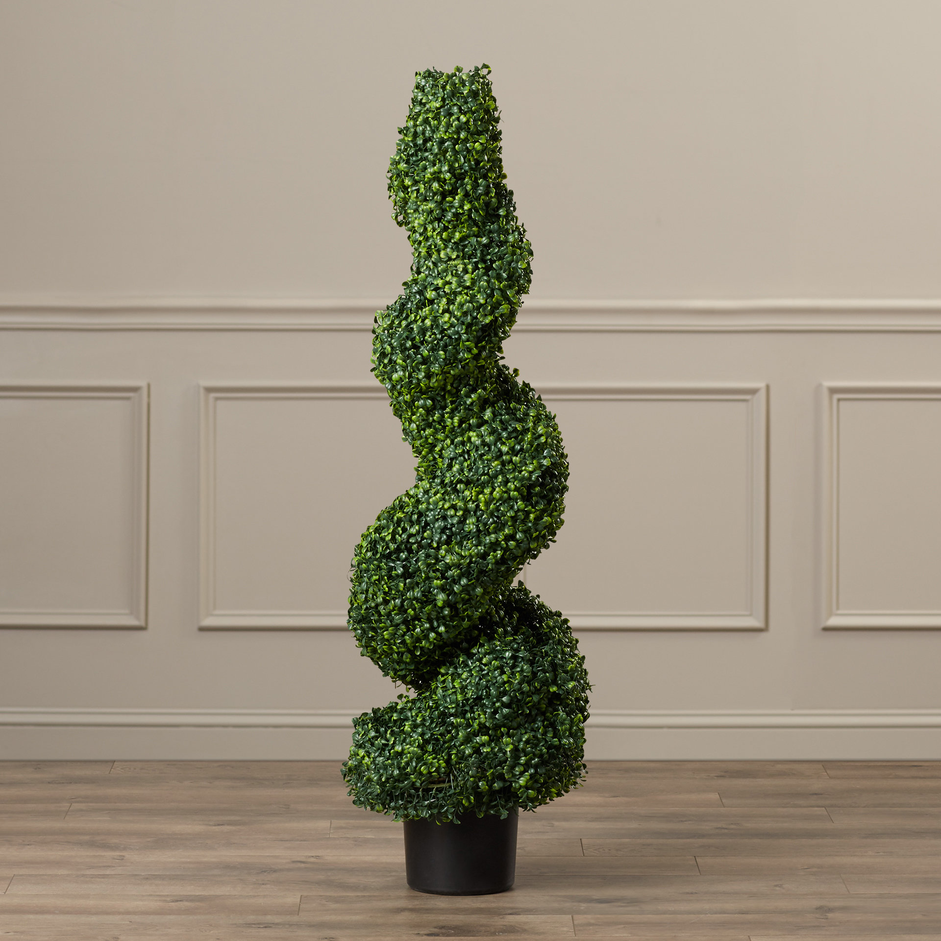 Darby Home Co Boxwood Topiary In Pot Reviews Wayfair