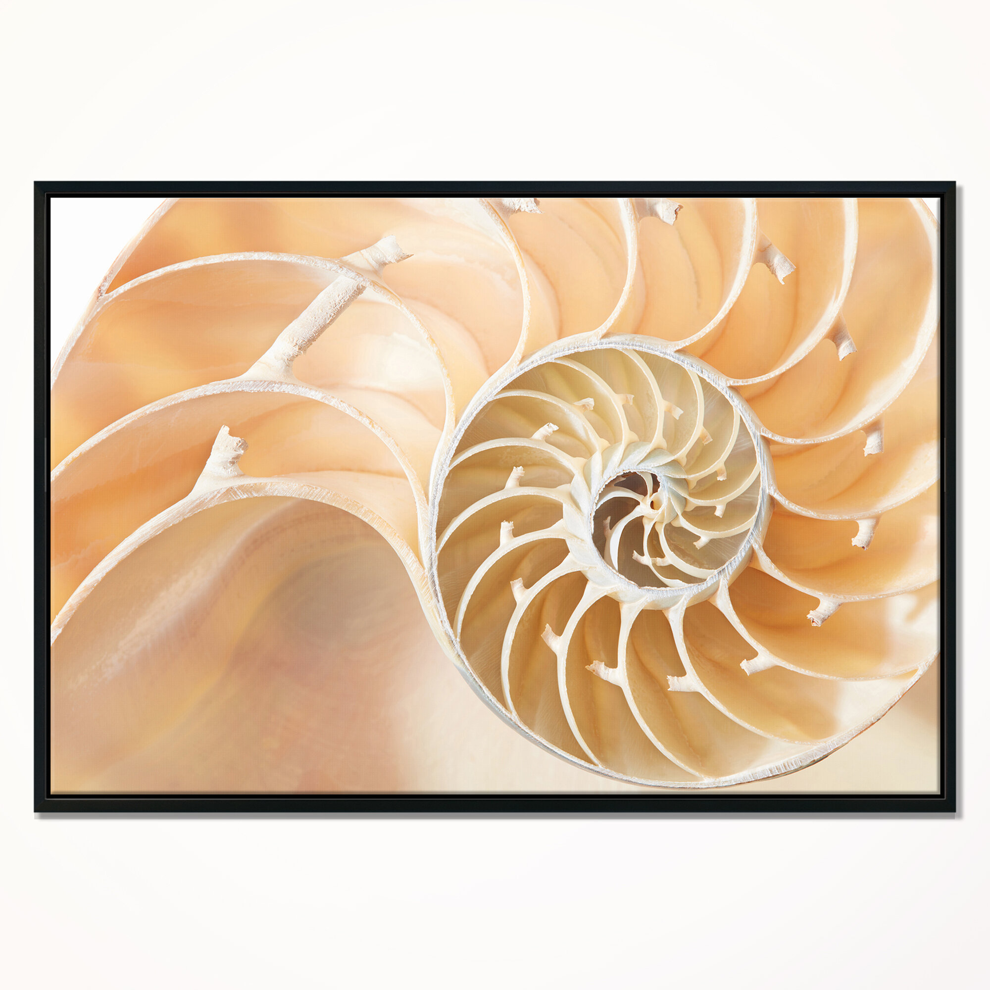 East Urban Home Abstract Brown Nautilus Shell Pattern Framed Graphic Art Print On Wrapped Canvas Wayfair