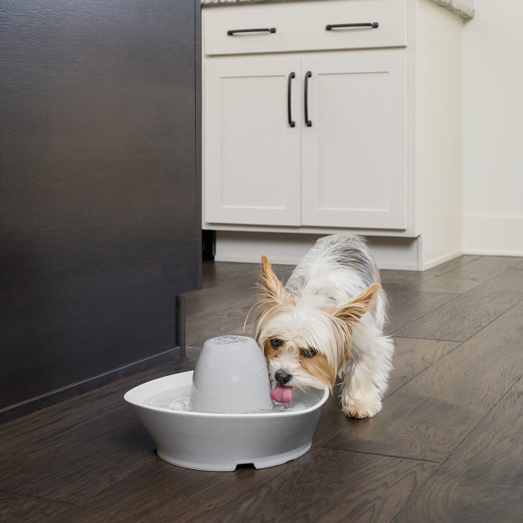 ceramic dog fountain