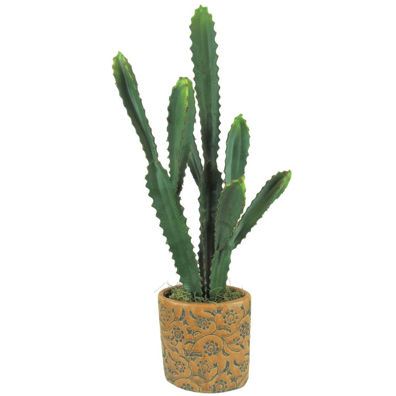 Foundry Select 29 Artificial Cactus Plant In Decorative Vase Wayfair
