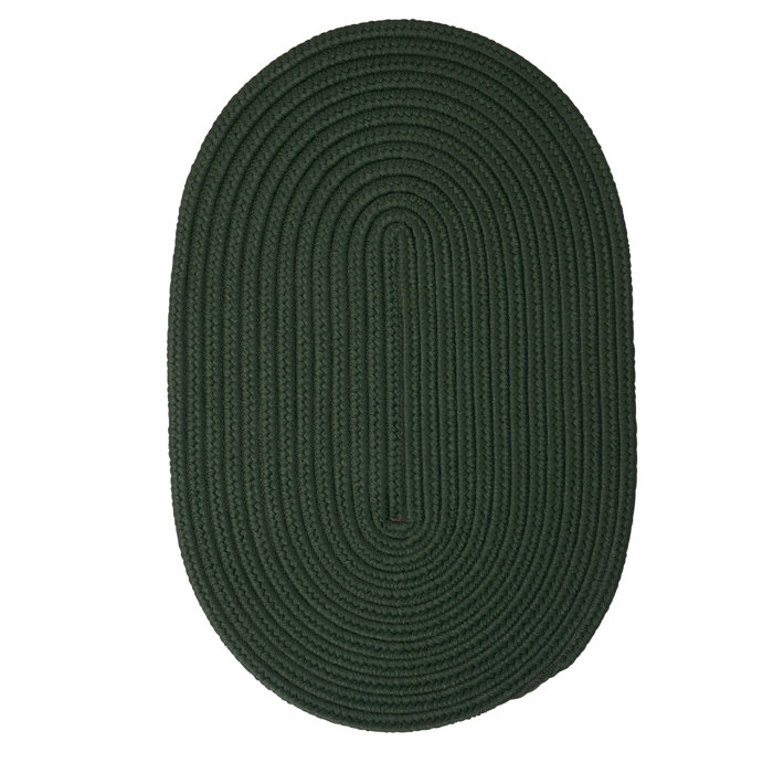 Winston Porter Mcintyre Braided Green Area Rug Reviews Wayfair Ca