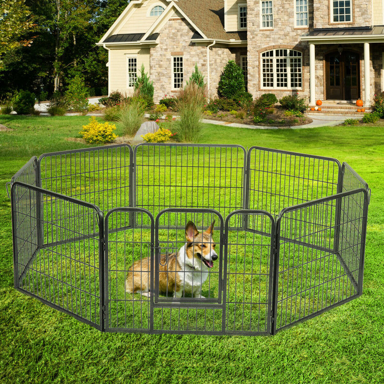 wayfair dog pen