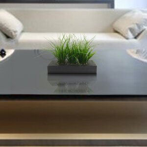 Grass in Rectangular Planter I