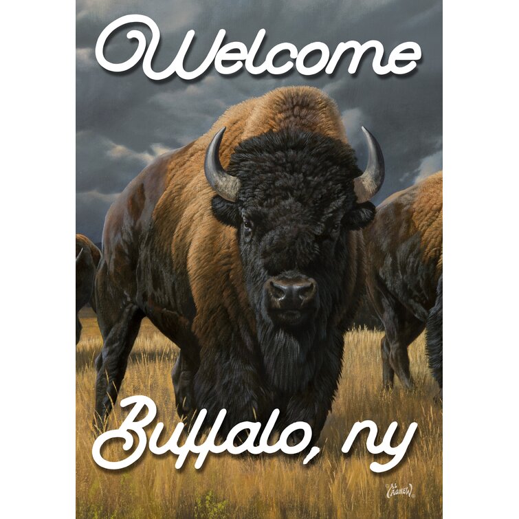 Toland Garden Where the Buffalo Roam-Welcome Buffalo 12.5 x 18 Inch Garden flag |