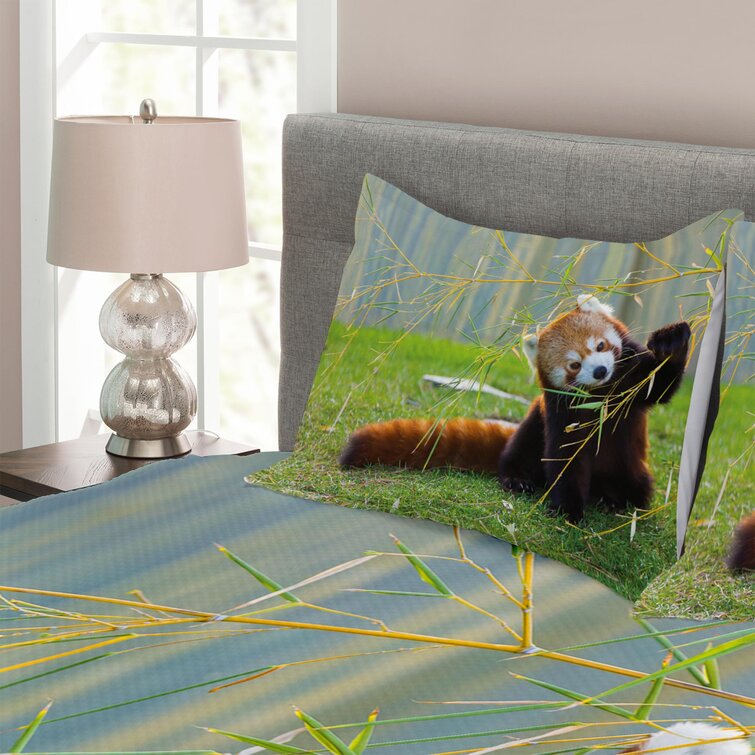 Panda on The Field Playing Bamboo Branches Native Himalaya Mountains Ambesonne Africa Fitted Sheet & Pillow Sham Set Full Brown Green Decorative Printed 3 Piece Bedding Decor Set