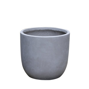 Concrete Planters You Ll Love In 2019 Wayfair