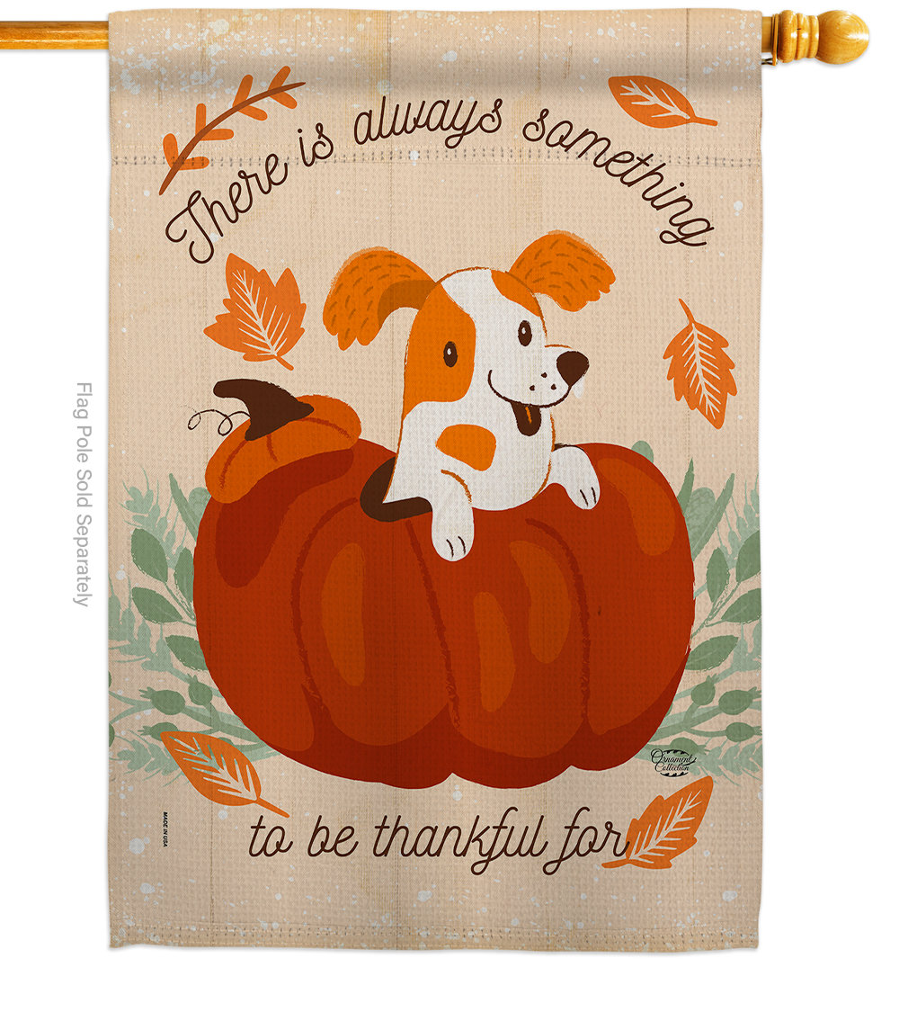 Ornament Collection Something Thanksful For 2 Sided Polyester 40 X 28 In House Flag Wayfair