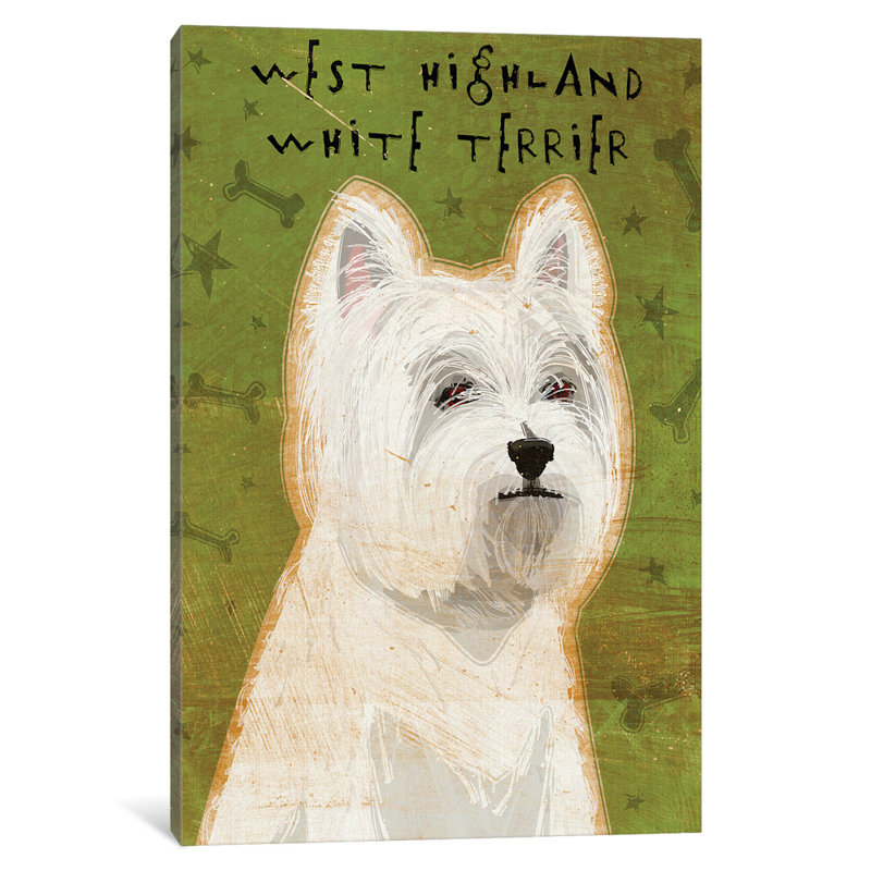 john's sweet west highland terrier puppies