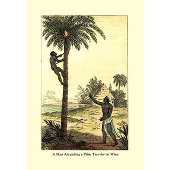 Buyenlarge A Man Ascending A Palm Tree For Its Wine Painting Print
