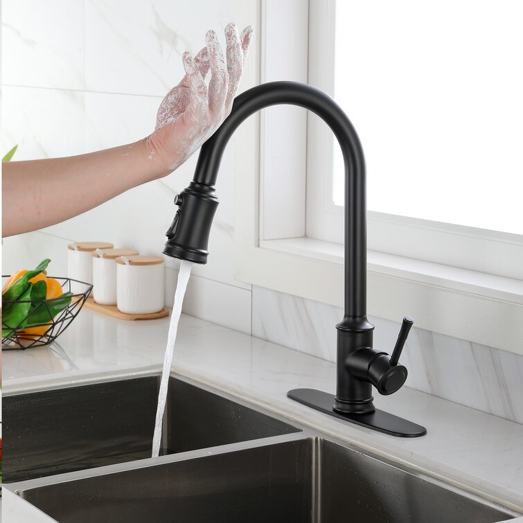 Single Handle High Arc Black Pull out Kitchen Faucet Single Level Stainless Stee 