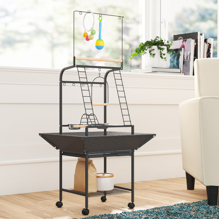 parrot stands play gyms