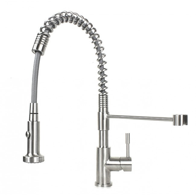 Tulip Pull Out Single Handle Kitchen Faucet Reviews Allmodern