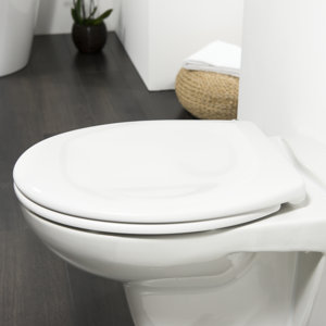 WC-Sitz Ventura Rund von Tiger