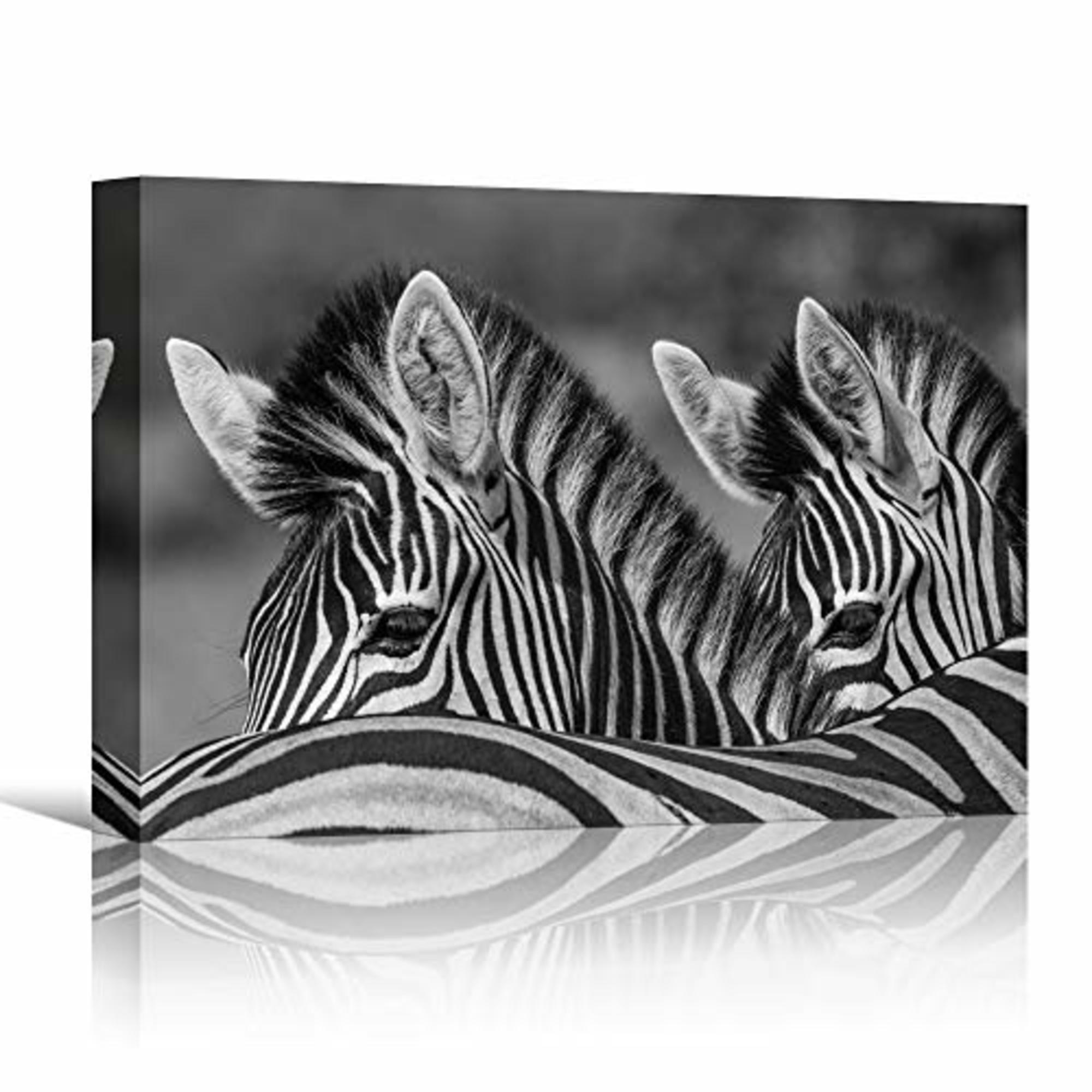 SIGNLEADER A Group Of Zebra Wrapped Canvas Print Wayfair